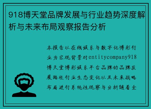 918博天堂品牌发展与行业趋势深度解析与未来布局观察报告分析